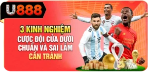 3 Kinh Nghiệm Cược Đội Cửa Dưới Chuẩn Và Sai Lầm Cần Tránh