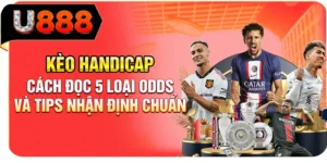 Kèo Handicap - Cách Đọc 5 Loại Odds Và Tips Nhận Định Chuẩn